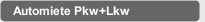 Automiete Pkw+Lkw