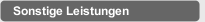 Sonstige Leistungen